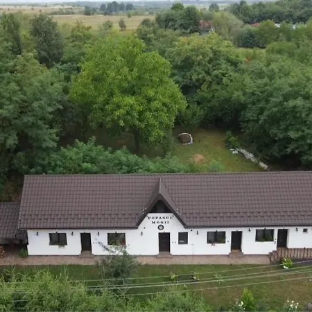 Casa Morii Holiday home Ohaba
