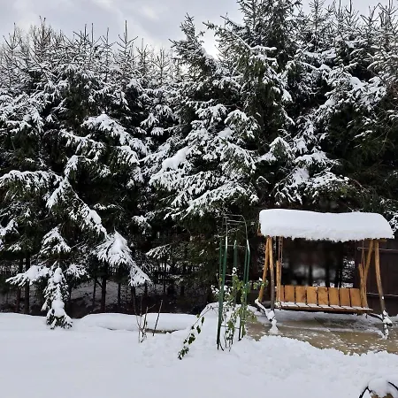 Casa Morii Holiday home Ohaba